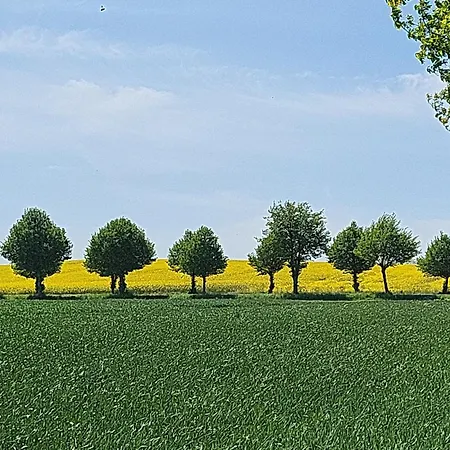 Leuchtturmblick * 바슈토르프